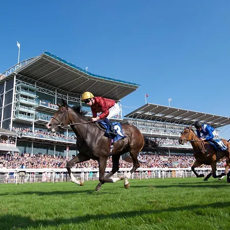 12 Bootham Court Stylish Modern 2-bed Flat In With Parking Pass The Keys